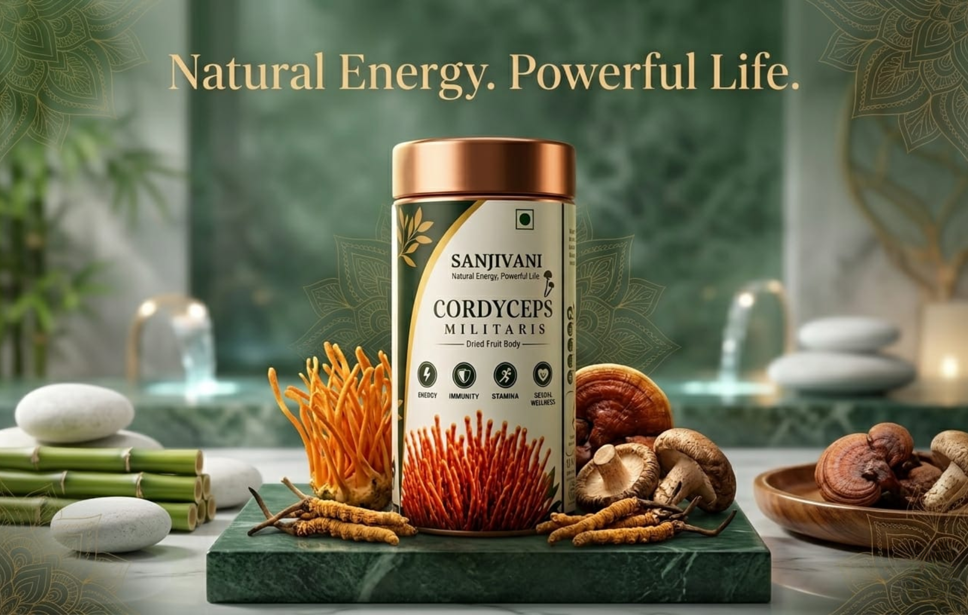 Cordyceps Mushroom: A Natural Way to Support Energy, Immunity & Everyday Wellness