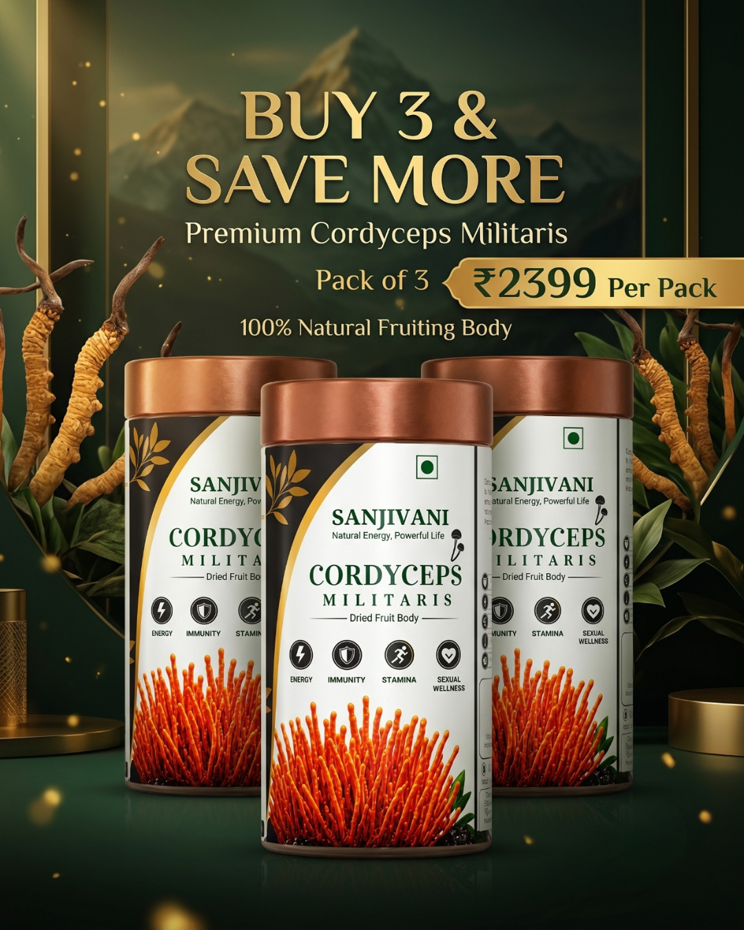 Sanjivani Life Cordyceps Militaris – Pack of 3 (30g × 3)